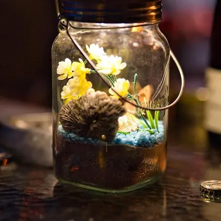 Apartment Ankes Wohlfühlpension