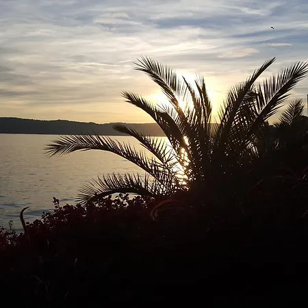 Ankes Wohlfühlpension *