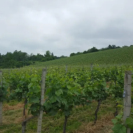 Ankes Wohlfühlpension Uberlingen
