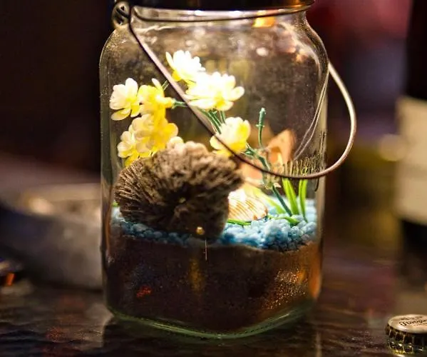 Lägenhet Ankes Wohlfuehlpension